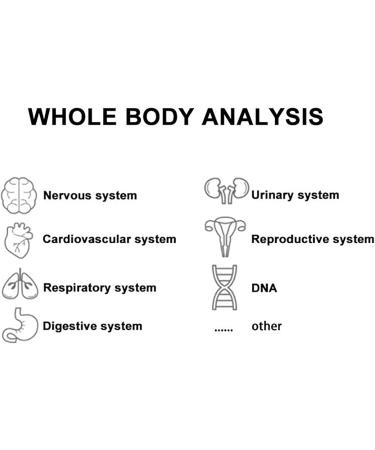 GBHJJ Quantum Magnetic Health Analyzer - Fast & Precise Multifunctional Health Testing with Dynamic 3D Analysis for Better Well-being - Buy Online on GoSupps.com
