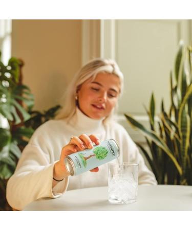  Nuisance Nuisance Wild Nettle Sparkling Water and Premium Mixer | Low Calorie | 12 x 250ml Cans - Buy Online on GoSupps.com