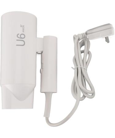 Foldable Hair Dryer Thermostat Control Ionic Hair Dryer for Home Travel (US Plug 110V) - Buy Online on GoSupps.com