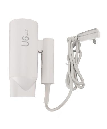 CHEOTIME Negative Ion Hair Dryer Fast Drying Constant Temperature Control Portable Folding Blow Dryer for Home Travel