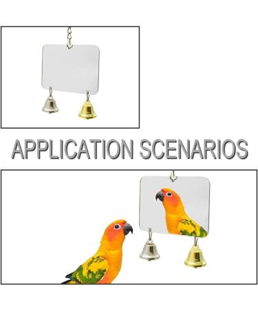 Parrot Toys Interesting Mirror Toy Exquisite Budgie Mirror for Various Birds - Buy Online on GoSupps.com