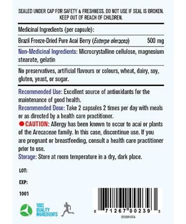 MapleLife Nutrition - Acai Berry 500 mg - Pure Superfruit Sourced from Brazil-Antioxidants - Boost Brain Function - Promote Skin Health No Artificial Ingredients - 120 Capsules - Buy Online on GoSupps.com