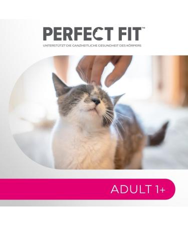 Buy PERFECT FIT Adult Dry Cat Food with Salmon - 7kg Bag | Healthy Nutrition for Cats 1 Year & Older - Buy Online on GoSupps.com