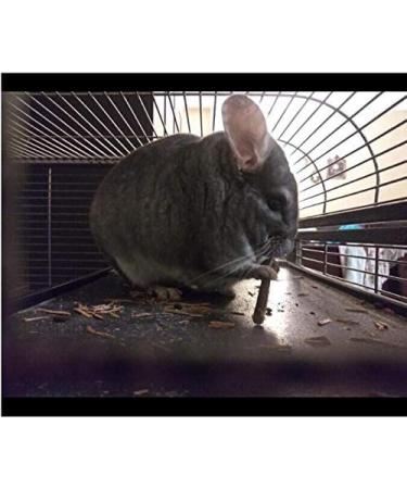 Natural Apple Sticks for Small Animals - 250g and 500g Chew Toys and Treats for Chinchilla, Guinea Pig, Hamster, Rabbit, Gerbil, Parrot, and Bunny - Buy Online on GoSupps.com