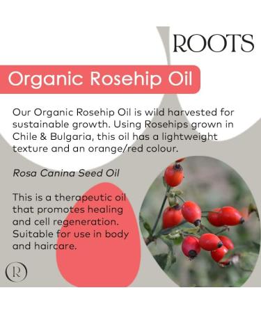Roots Organic Rosehip Seed Oil - Vegan and Cruelty-Free, Vitamin-Rich Moisturizer for Hair and Skin - Buy Online on GoSupps.com