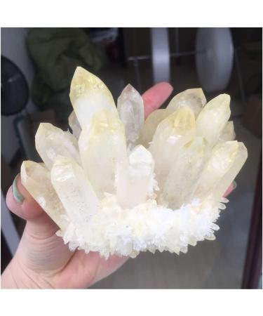 Crystal Hole Stone Crafts 1PC Natural Citrine Phantom Quartz Crystal Cluster Specimen Crystal Hole (Size : 500-550g) - Buy Online on GoSupps.com