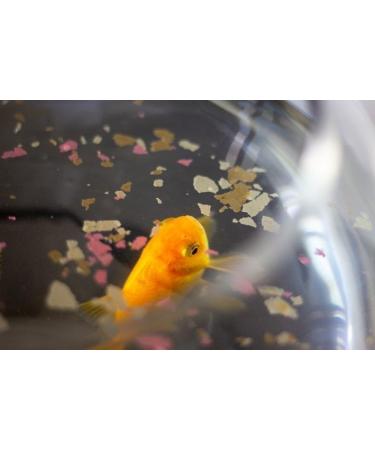 Aquatic Foods Inc. Koi & Pond Fish Krill Flakes. Arctic Krill Flakes which Contain Natural Carotenoids & Astaxanthin That Will Enhance The Vibrant Colors of Fish...WL 2-lbs Poly Bag 2 Pound (Pack of 1) - Buy Online on GoSupps.com