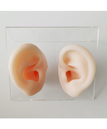 Soft Silicone Human Ear Simulation Model Learning Accessory for Ear Extraction of The Hearing Conduit Suitable for Visual Extraction Practice - Buy Online on GoSupps.com