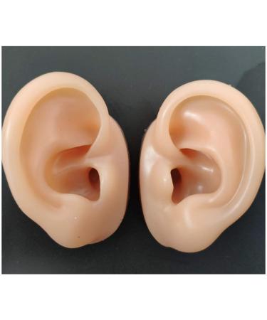 Fhuili EAR model soft-silicone-simulation ear model soft silicone-ear model for acupuncture ear picking practice studs headset earring ads props b