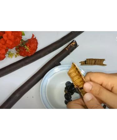 Namo Organics -100% Natural AMALTAS KI PHALI - 250 gm - Buy Online on GoSupps.com