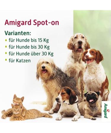 Amigard Spot-On for Medium Dogs - 1-Month Tick & Flea Protection Vegan & Natural Ingredients - Buy Online on GoSupps.com