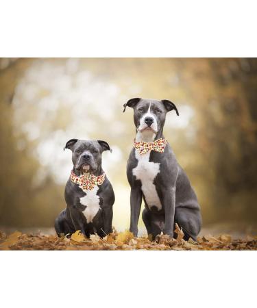 Shop Aring Pet Dog Halison Autumn Cotton Dog Collars with Removable Flower | Perfect Gifts for Small to Large Dogs - Buy Online on GoSupps.com