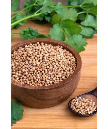 TRS Dhania Whole | 100G | Coriander Seeds |Essential Ingredient for Variety of Dishes |Whole Coriander Seeds | High Fibre | High Protein | Indian Origin (Pack of 2) - Buy Online on GoSupps.com