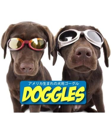 Doggles ILS X-Small Racing Flames Frame with Orange Lens - XS 1 - Buy Online on GoSupps.com