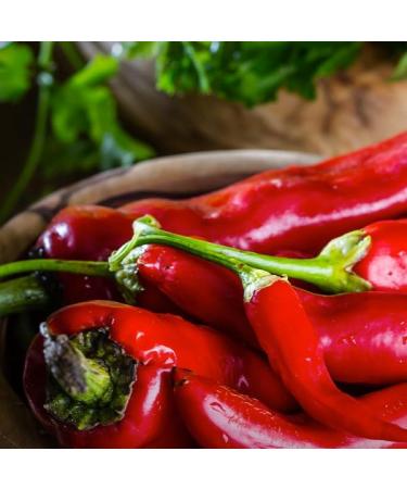 Filippo Berio Chilli Flavoured Extra Virgin Oil 1L - Buy Online on GoSupps.com