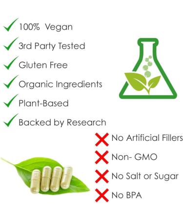 Rejuvenation Therapeutics Organic Ginger - Digestive Function Support (120 Vegan Capsules 500 mg) - Buy Online on GoSupps.com