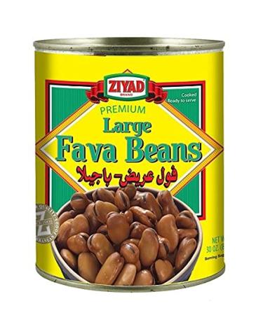 Fava Beans Premium Large 2-CANS (Kosher) 30 Oz - Cooked & Ready to Serve | Buy Online - Buy Online on GoSupps.com