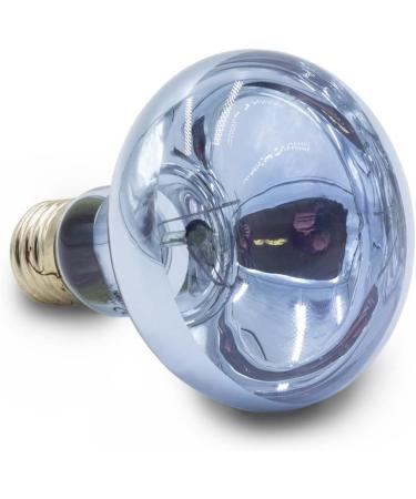 Terra Exotica Neo Spot - UV Radiation Terrarium Reflector | 25W 40W 60W 75W 100W & 150W Models - Ideal Heat & Light Source for Terrarium Dwellers - Buy Online on GoSupps.com