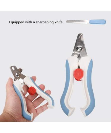 OMEM Bird Nail Clippers with Grinding Nail Tool Parrot Claw Care Budgies Sunbirds Cockatiel Pet Nail Scissors (S Blue) S Blue - Buy Online on GoSupps.com