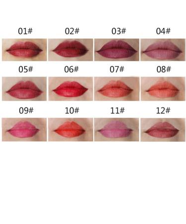 QiBest Waterproof 12 Colors Lip Liner Lipstick Pen - Genuine Makeup for Natural Look - Easy to Mix and Match - Fashion Black Rod Design - Buy Online on GoSupps.com
