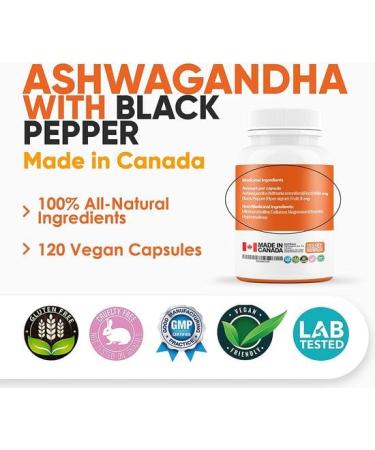 New Ashwagandha Powder with Black Pepper Extract - Highest Potency 2600mg per serving (2 capsules) 240 Vegan Capsules Improved Memory Increased Energy and Decreased Stress Supplement. Powerful Ancient Ayurveda Adaptogen. (2 Pack) 120 count (Pack of 2) - Buy Online on GoSupps.com