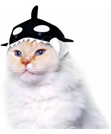 Kitan Club Cat Cap - Pet Hat Blind Box Includes 1 of 6 Cute Styles - Soft  Comfortable - Authentic Japanese Kawaii Design - Animal-Safe Materials  Premium Quality (Aquarium) - Buy Online on GoSupps.com