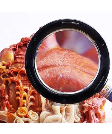 Blue Magnifier Reading Magnifying Glass Portable Handheld LED Illuminated Extra Large Lens 20Time HD Made in China - Buy Online on GoSupps.com