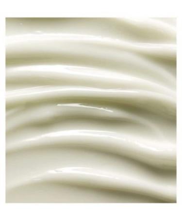 Liz Earle Superskin Moisturiser Original Unfragranced 50ml | Best Moisturizer for Sensitive Skin | Shop Now - Buy Online on GoSupps.com