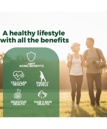 vitaxmin NAD Resveratrol Supplement 200mg with Berberine NAC Collagen - Nicotinamide Riboside NMN NADH CoQ10 Biotin Hyaluronic Acid - Hair Skin Nails Supplement - 60 Capsules - Buy Online on GoSupps.com