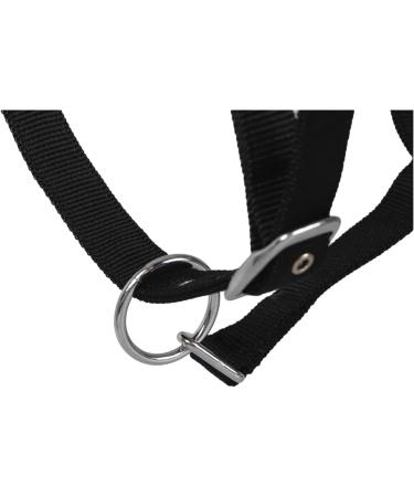RL24 Halter with Plush Padding - BASICLINE in 6 Colors for Shetland Pony Thoroughbred Warmblood | Black Warmblood International Shipping - Buy Online on GoSupps.com