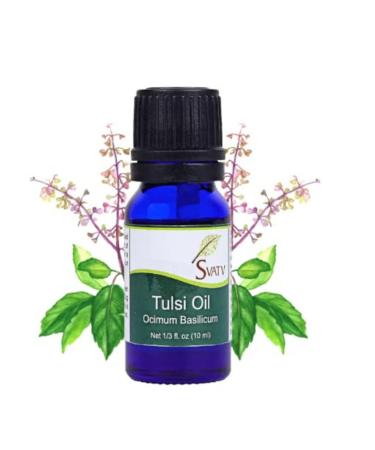 SVATV Tulsi essential oil aromatherapy in therapeutic quality fragrance oil for diffusor yoga massage & diy body care 10 ml basil