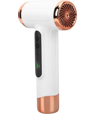 Rechargeable Cordless Hair Dryer Cordless Hair Dryer Safe 15000mAh Large Wind 200W 20W Fast Charging for Outdoor (#2) #2 #2 - Buy Online on GoSupps.com