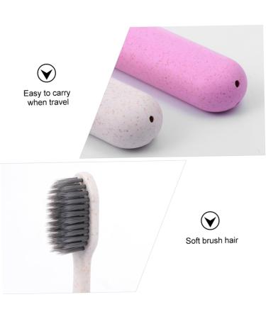 Minkissy 4-Part Toothbrush Set for Bearded Dragons | Soft Bristles & Colorful Container - Ideal Manual Care - Buy Online on GoSupps.com