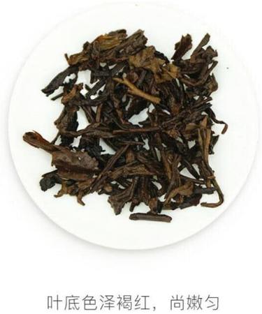 Premi re Classe Pu Erh ORIGINAL TAETEA 357g Menghai Dayi Pu Erh classique m r - Buy Online on GoSupps.com