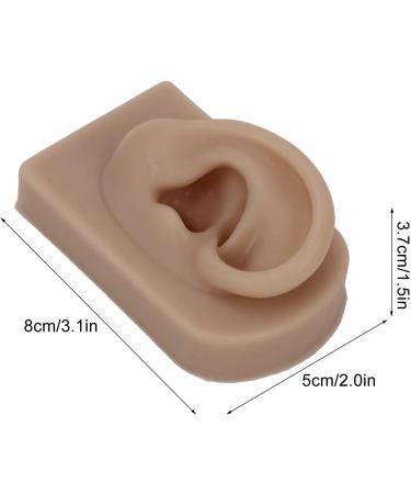 Flexible Brown Right Ear Model for Earrings Display and Acupuncture Training - Buy Online on GoSupps.com