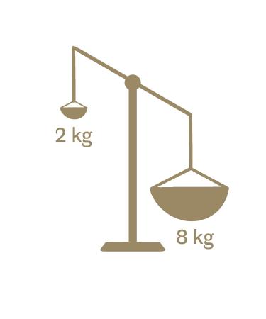 Entosus Trial Set: 5 Flavor Crunchy Insect Protein Snacks | Sustainable Meat Substitute | 100g Pack for Grilling & Cooking in Germany - Buy Online on GoSupps.com