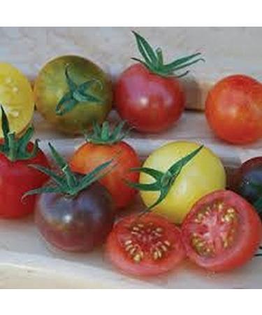 SEMI DI GERMINAZIONE: 50 - Samen: Regenbogen- berraschung Kirsch Mix Tomatensamen! Eine sch ne Gourmet-Mischung! K stlich !!!