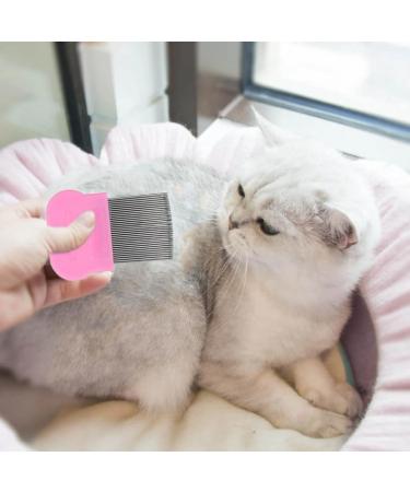 Buy Dxary Rabbit Care Set - Essential Brush and Bathing Kit for Rabbits Guinea Pigs and Small Pets - Fast International Shipping - Buy Online on GoSupps.com