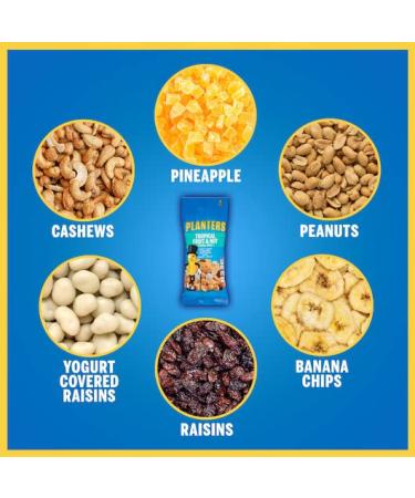 Planters Peanuts Trail Mix Variety Pack - 24 Individual 2 oz Bags - Cajun, Chocolate, Tropical Flavors with By The Cup Mints - Buy Online on GoSupps.com