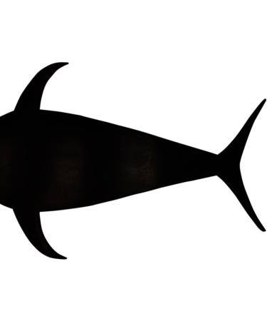 Tuna Mudflap Dredge Teaser Components 27 - Set of 3 - Buy Online on GoSupps.com