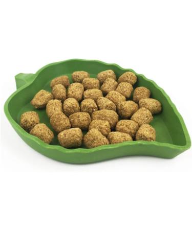 ANZONGYI 2 Pieces Leaf Shape Reptile Food Bowls Food Feeding and Water Dish Plate Used for Tortoise Corn Snake Crawl Pet Drinking and Eating - Buy Online on GoSupps.com