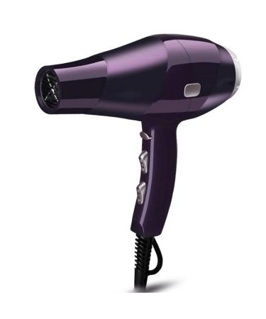 Hair Dryer Nano Ionic Blow Dryer Professional Salon Hair Blow Dryer Lightweight Fast Dry Low Noise with Concentrator Diffuser /B (A)