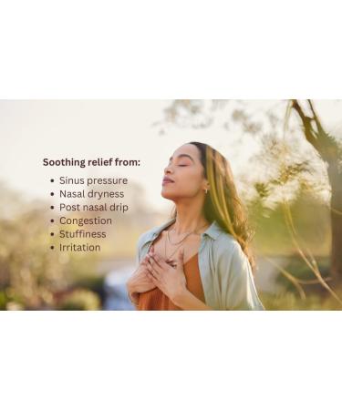 NeilMed Sinus Rinse Nasal Irrigation Bottles 3ct NasaDock Plus Drying Stand - Buy Online on GoSupps.com