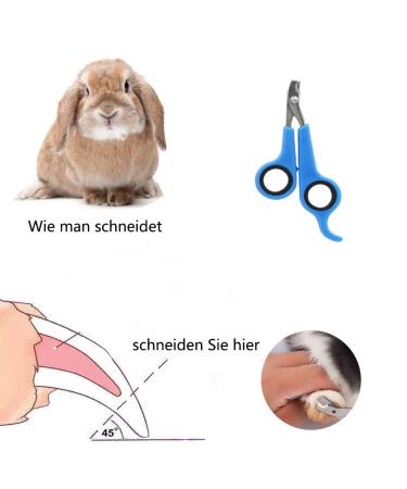 Rabbits Care Brushes Kit - Small Pet Hair Brushes & Nail Clippers for Rabbits Cats & Puppies - Blue Massage Brush Set - Buy Online on GoSupps.com