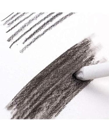Blending Stumps and Tortillions Set with 2 Pieces Sandpaper Pencil Sharpener  1 Eraser Sketch for Student Sketch Drawing kit (6 pcs +4) - Buy Online on GoSupps.com