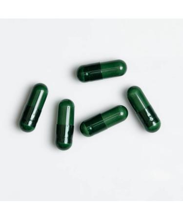 STC NUTRITION - Carnitine Complex - Action br le-graisses d montr e - Active la thermog n se - 1500 mg L-Carnitine + Th Vert - Vegan - Cure 30 jours - Buy Online on GoSupps.com