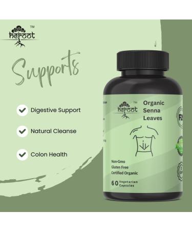 Seena Leaves 500 mg 120 Capsules 120 Count (Pack of 1) - Buy Online on GoSupps.com