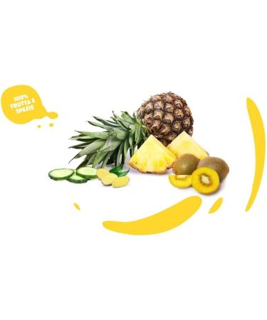  Italian Gourmet E.R. Yoga il Centrifugato con Zenzero Fruit Concentrate with Ginger Pineapple Kiwi and Cucumber Fruit Juice without Added Sugar 680 ml Glass Bottle + Tomato Pulp Italian - Buy Online on GoSupps.com