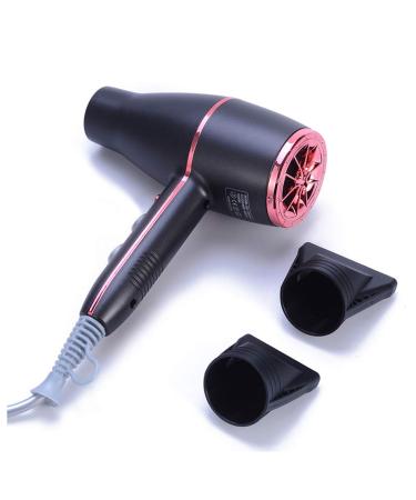 Professional Hair Dryer 2200W Ionic Hair Dryer Lightweight Quick Dry Hair Dryer with 4 Cool Blows DC Motor 2 Concentrators for Travel