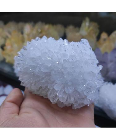 1pcs Natural White Quartz Crystal Cluster Clear Quartz Specimen Stone Crystal Point Specimen Home Decoration JIZTGEDM (Size : 500-600g) - Buy Online on GoSupps.com